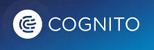 Cognito - Top Companies Cognito